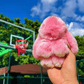 🏆OFERTA ESPECIAL POR TIEMPO LIMITADO 50 % DE DESCUENTO🐰Dije de conejito con pompón suave hecho a man