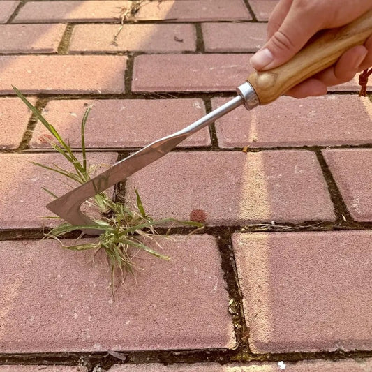 🌱 Nueva herramienta para eliminar malas hierbas de las grietas 2026
