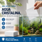 🐠 ¡COMPRA 1 Y LLÉVATE 1 GRATIS! ✨ Láminas Clarificadoras para Acuarios – Agua cristalina en 24 horas, eliminan olores e impurezas, seguras para todo tipo de peces y plantas. 🌿🔮