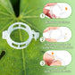 🥳 OFERTA TOP 2026 🥳 💞 ¡Más de 100K vendidos! ✨ 💝 Clips de plástico seguros para plantas