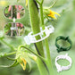 🥳 OFERTA TOP 2026 🥳 💞 ¡Más de 100K vendidos! ✨ 💝 Clips de plástico seguros para plantas