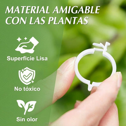 🥳 OFERTA TOP 2026 🥳 💞 ¡Más de 100K vendidos! ✨ 💝 Clips de plástico seguros para plantas