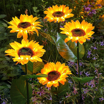 💐 ¡50% DE DESCUENTO! Luces solares de girasol – Decoración luminosa para el jardín 🌻🌙 【Oferta limitada】