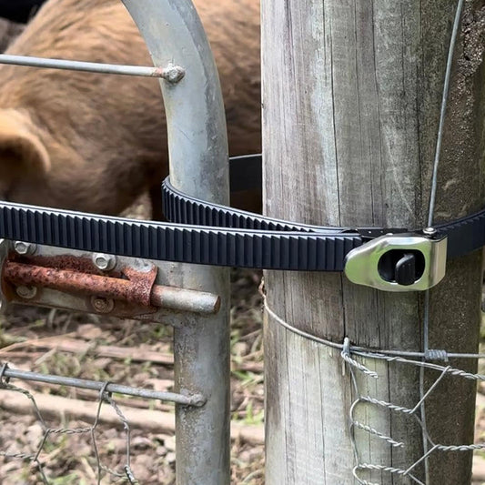 Correa de sujeción con cierre de seguridad definitivo