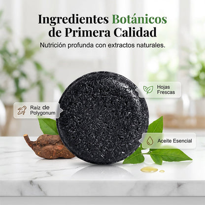 Champú en Barra Natural Oscurecedor de Cabello con