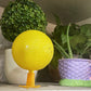 Trampa adhesiva para moscas de la fruta en forma de bola con soporte y LED