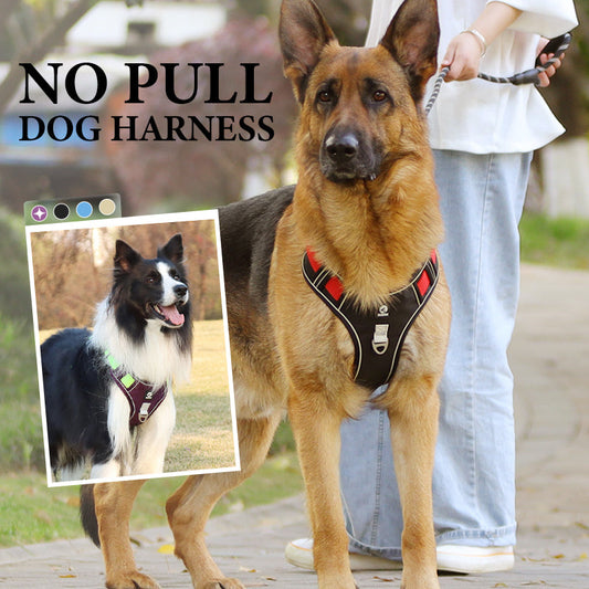 🐕 ¡50% DE DESCUENTO! 🔦 Arnés antitirones para perro con correa y collar LED – reduce la presión, nylon suave y perfecto para paseos nocturnos y entrenamiento 🌙