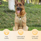 🐕 ¡50% DE DESCUENTO! 🔦 Arnés antitirones para perro con correa y collar LED – reduce la presión, nylon suave y perfecto para paseos nocturnos y entrenamiento 🌙