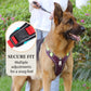 🐕 ¡50% DE DESCUENTO! 🔦 Arnés antitirones para perro con correa y collar LED – reduce la presión, nylon suave y perfecto para paseos nocturnos y entrenamiento 🌙