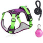 🐕 ¡50% DE DESCUENTO! 🔦 Arnés antitirones para perro con correa y collar LED – reduce la presión, nylon suave y perfecto para paseos nocturnos y entrenamiento 🌙
