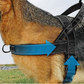 🥳¡OFERTA CALIENTE 2026!🥳🐕💪 ¡50% DE DESCUENTO! Arnés táctico resistente para perros – Sin tirones, sin ahogo. 🛡️✨