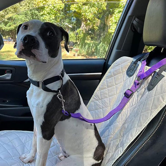 Cinturón de seguridad para perros 2 en 1 y correa de paseo