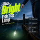 🐟 Lámpara Atrapa Peces de Luz Ultrabrillante