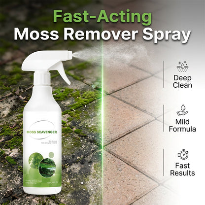 Spray Eliminador de Musgo y Algas para Exteriores