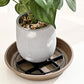 📢📢¡50 % DE DESCUENTO! ⏰Elevador de Macetas que Protege las Raíces – Eleva las Plantas, Mejora la Circulación de Aire y Mantiene los Suelos Limpios – Para Uso Interior y Exterior 🔥🏠