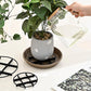 📢📢¡50 % DE DESCUENTO! ⏰Elevador de Macetas que Protege las Raíces – Eleva las Plantas, Mejora la Circulación de Aire y Mantiene los Suelos Limpios – Para Uso Interior y Exterior 🔥🏠