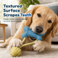 🐶🦴 Juguete mordedor resistente para perros con hueso y cuerda para tirar