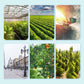 🌾 Pistola pulverizadora agrícola ajustable y resistente al viento ✅ Para cultivos y jardín